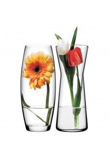 Gardenia 2 Pcs Flower Vase Set